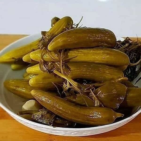 راهنمای خرید خیار شور دبه ای + قیمت عالی